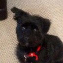 Roger Buchanan - @rebuch55 - Twitter