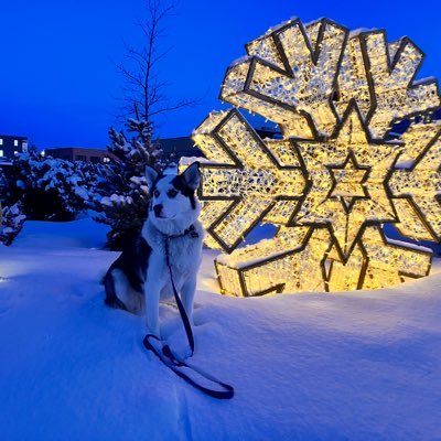 kennyandmary30's profile picture. @thedogwalker2022.bsky.social