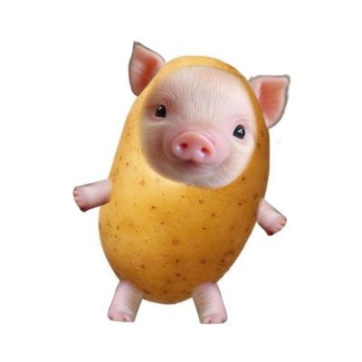 parkzxq's profile picture. 