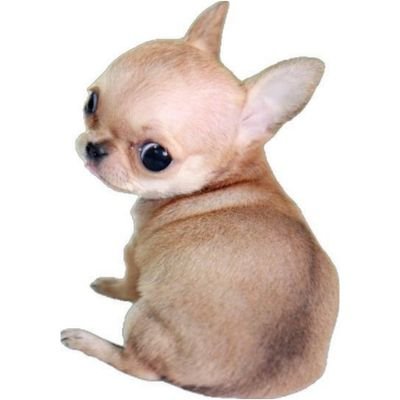 th3erur's profile picture. 대학생밴놀일상공부계.?