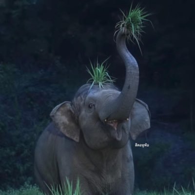 namwarn93's profile picture. 