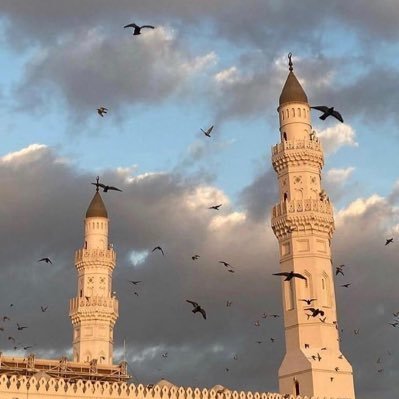 hsjgdjgfg's profile picture. موجود فواتير اكتروني موثقة مشتريات لتخفيض الضريبة القيمة المضافة الدفع بعد الانجاز التواصل0592990134