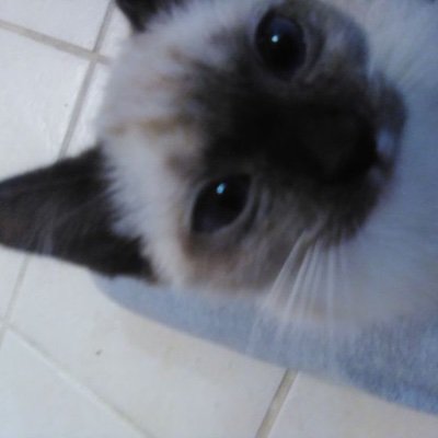 ekcessive's profile picture. 