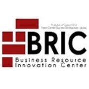 CarsonCityBRIC's profile picture. The Business Resource Innovation Center provides resources, mentoring and education to startup and existing businesses in the region surrounding Carson City.