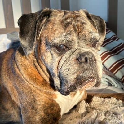 KirstieThrelks's profile picture. 