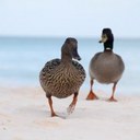 Jonathan Shute - @JonathanShute - Twitter