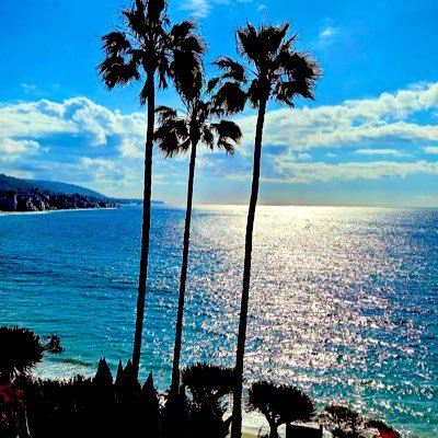 Saccizaat's profile picture. Traveling looking for peace, I’m a mental health therapist fairly new in California but so far my mind is at ease …