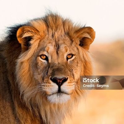 Daniel078013's profile picture. 