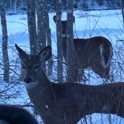 zpapsnow4's profile picture. 🇨🇦🇺🇸☦️ Zephaniah 1:18 — Neither their silver nor their gold shall be able to deliver them in the day of the LORD’s wrath…