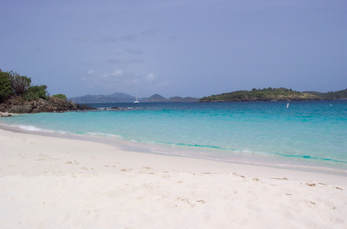 careyiaq's profile picture. 