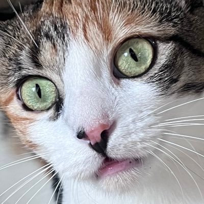 adodorinhaapuri's profile picture. futura paciente psiquiátrica do hospital de Jurujuba, comentarista bbb e, nas horas vagas, professora