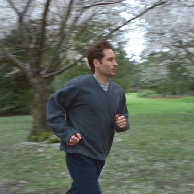 WASPmexicano's profile picture. The dumb ass speaking with a man’s voice forbad the madness of the prophet.