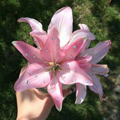 Maipenraijapee's profile picture. ฉันรักกุมภาพันธ์