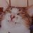 nottun11's profile image
