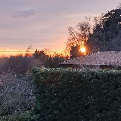 eterea_eterea's profile picture. 