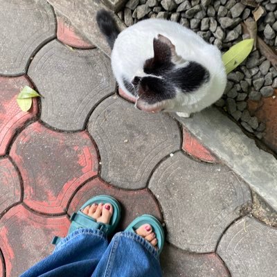 indabelgrade's profile picture. Jesus doesn't have twitter, but i follow Him.