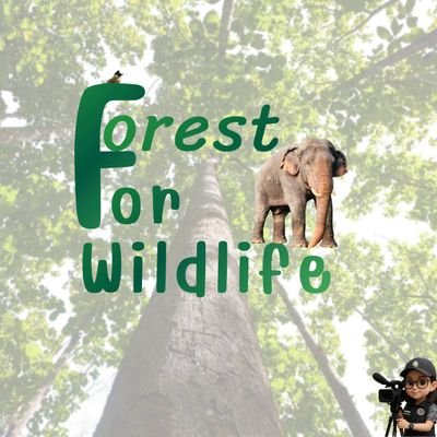 DNPnews_'s profile picture. รวบรวมเรื่องราวดี ๆ จากผืนป่าอนุรักษ์ และความน่ารักของสัตว์ป่า แบ่งปันความสุข... เล่าสู่กันฟัง