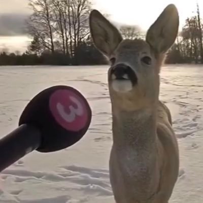 JaviviRuizJ's profile picture. Historiadora Unal. Estudiante MEC. "Higher, further, faster, baby". Marvel geek. Mujer cis