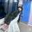 payee_7's profile image