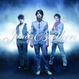 The Official Jonas Brothers