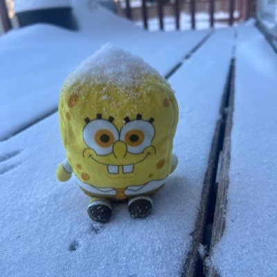 Space_Cowboy555's profile picture. 17 años