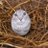 JohnShockington's profile image