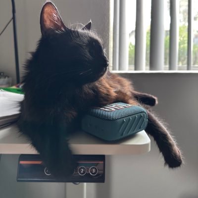 ByHassounah's profile picture. 