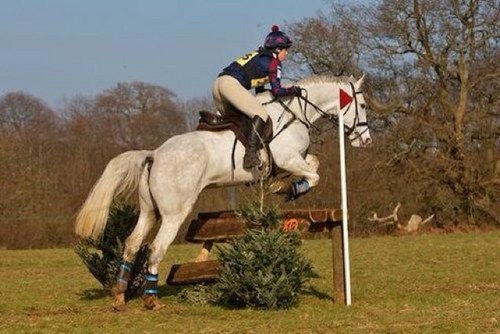 aimzt22's profile picture. 