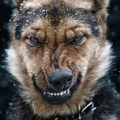 HasaanHasani_'s profile picture. In My Own Lane