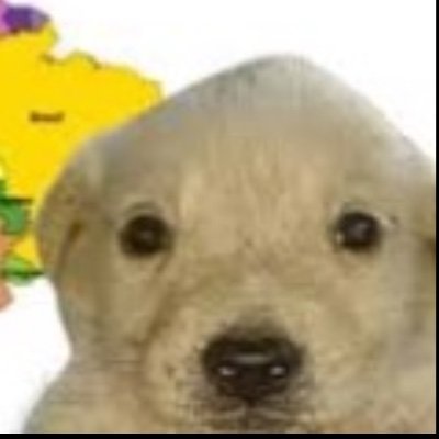 an__d__re's profile picture. Você também vai sonhar com a sua avó hoje