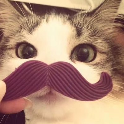 ajgd097651's profile picture. 