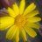 EmKem56's profile image