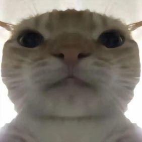 🚀Web3零撸｜空投挖矿不迷路