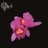 Antezana_22's profile image
