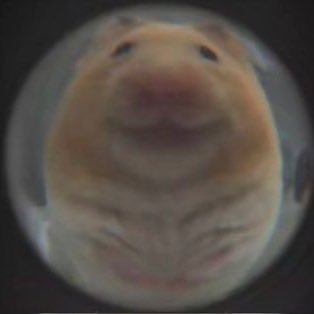 jenojonnacute's profile picture. 인생 날로 먹고싶다