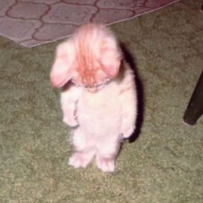 odriyay's profile picture. close