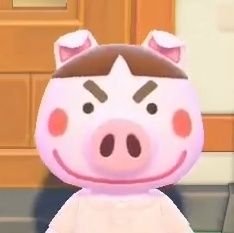 blackstar__00's profile picture. 일상/맛있는거/이것저것뻘소리/털뭉치/투자/