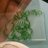 uni1048728's profile image