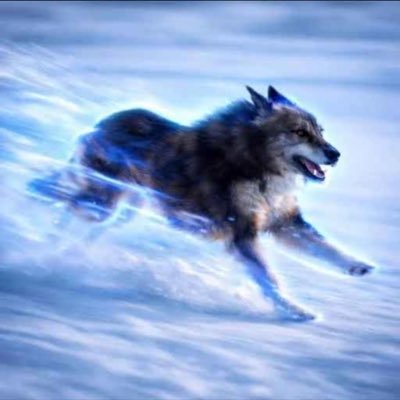 RunnersCTO's profile picture. The dog $RUNNER AHSpic8vG22rZnrAKNyADMBTQLH964Q nBS3dUAdkpump