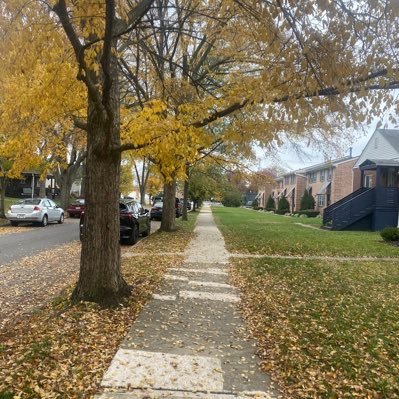 TigraySelalia's profile picture. 