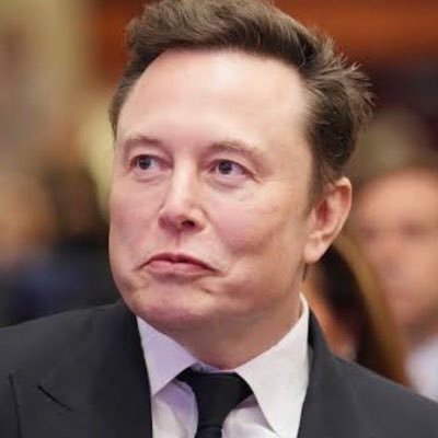 Mrmuskchat_5's profile picture. Entrepreneur 🚀Spacex & CEO&CTO Tesla 🚘Product Architect 🛸Hyperloop.Founder of the Boring Company Po Co-Founder-Neturalink,open Al