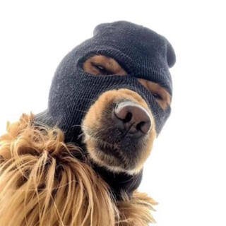 real_umbwa's profile picture. 