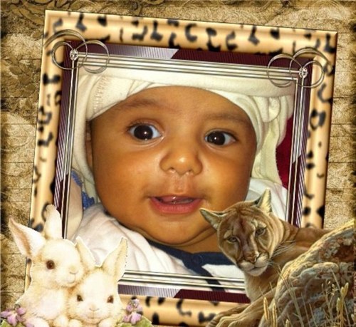 Ahmad Nasa