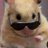 samguy3103's profile image