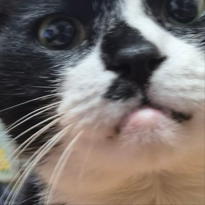 moooi_V's profile picture. 지방대는 성공 못한다고⁉️ 누가 그래⁉️ |  블루레이디 맞팔 환영💙  |  대외활동 / 장학금 / 일상  |  수제트는 하이라이트☁️