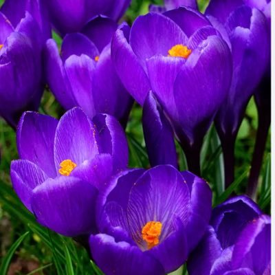 bluegarnedd's profile picture. Just taking life a day at a time