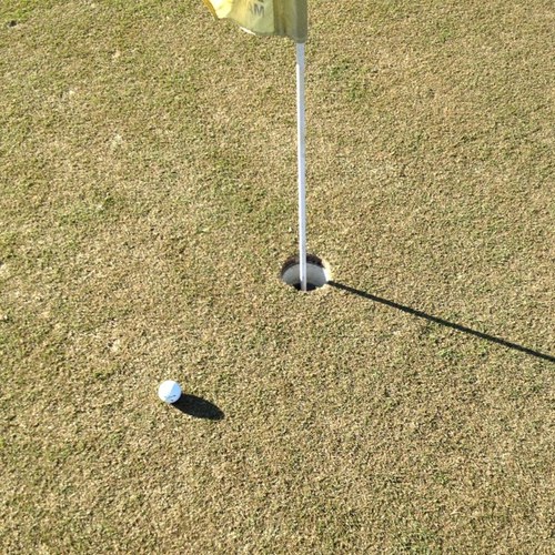 Probzgolf's profile picture. living the golfing dream