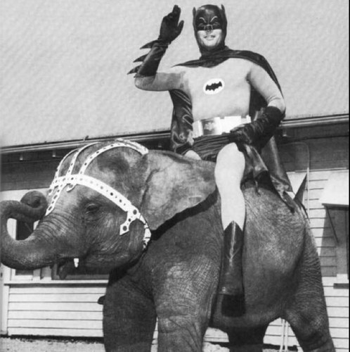 RJones_'s profile picture. Honestly I just kind of wing it - Sun Tzu

All views belong to the Russian Twitter bot