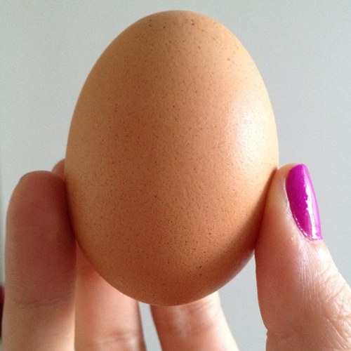 allisonmbader's profile picture. 