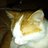 mike_powney's profile image